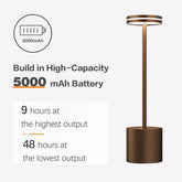 Brown outdoor lamp with battery information on a white background